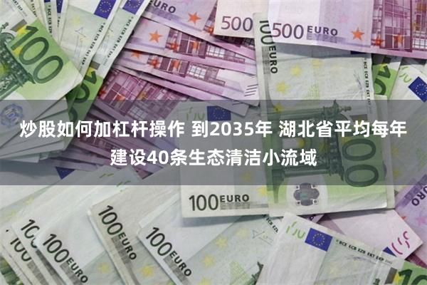 炒股如何加杠杆操作 到2035年 湖北省平均每年建设40条生态清洁小流域