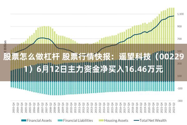 股票怎么做杠杆 股票行情快报：遥望科技（002291）6月12日主力资金净买入16.46万元