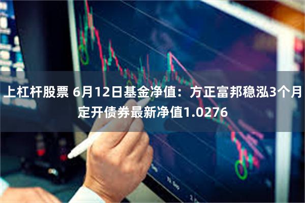 上杠杆股票 6月12日基金净值：方正富邦稳泓3个月定开债券最新净值1.0276