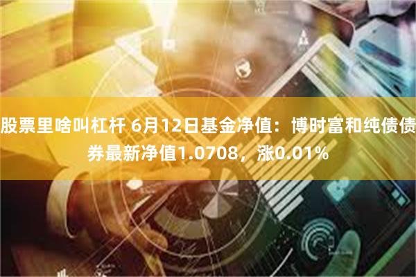 股票里啥叫杠杆 6月12日基金净值：博时富和纯债债券最新净值1.0708，涨0.01%