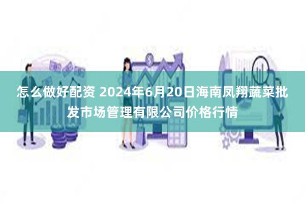 怎么做好配资 2024年6月20日海南凤翔蔬菜批发市场管理有限公司价格行情