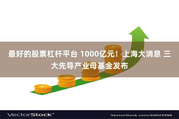 最好的股票杠杆平台 1000亿元！上海大消息 三大先导产业母基金发布