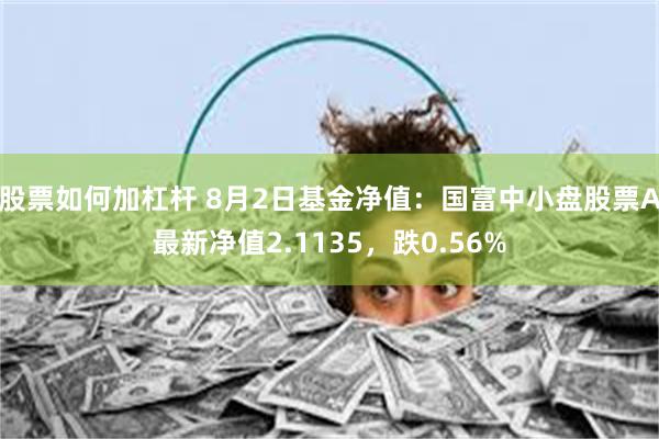 股票如何加杠杆 8月2日基金净值：国富中小盘股票A最新净值2.1135，跌0.56%