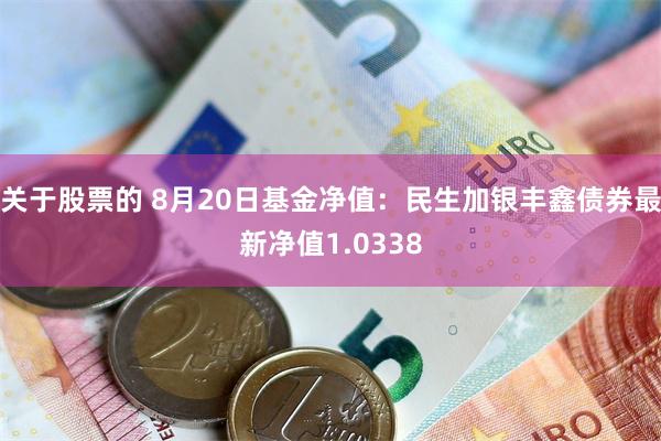 关于股票的 8月20日基金净值：民生加银丰鑫债券最新净值1.0338