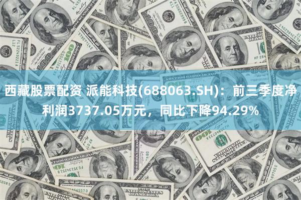 西藏股票配资 派能科技(688063.SH)：前三季度净利润3737.05万元，同比下降94.29%