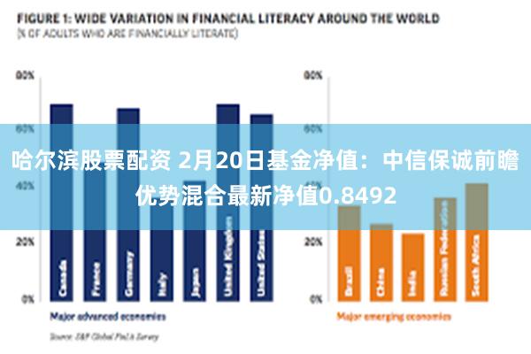 哈尔滨股票配资 2月20日基金净值：中信保诚前瞻优势混合最新净值0.8492