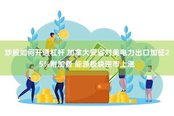 炒股如何开通杠杆 加拿大安省对美电力出口加征25%附加费 能源板块逆市上涨