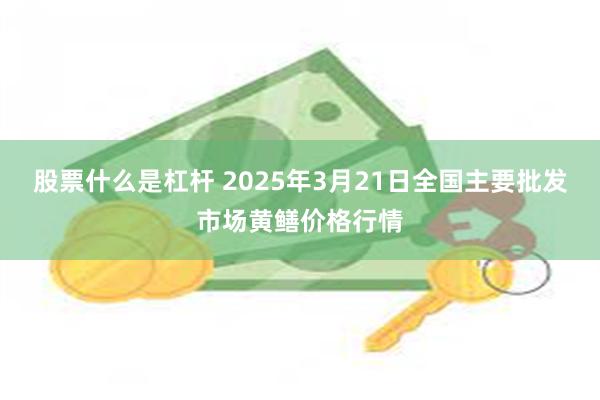 股票什么是杠杆 2025年3月21日全国主要批发市场黄鳝价格行情