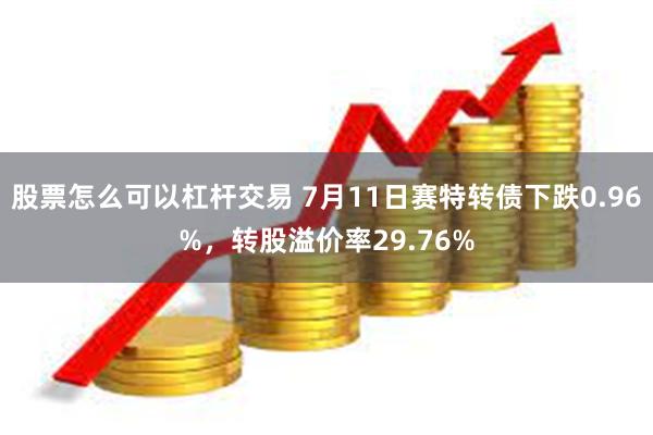 股票怎么可以杠杆交易 7月11日赛特转债下跌0.96%，转股溢价率29.76%
