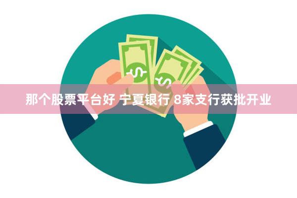那个股票平台好 宁夏银行 8家支行获批开业