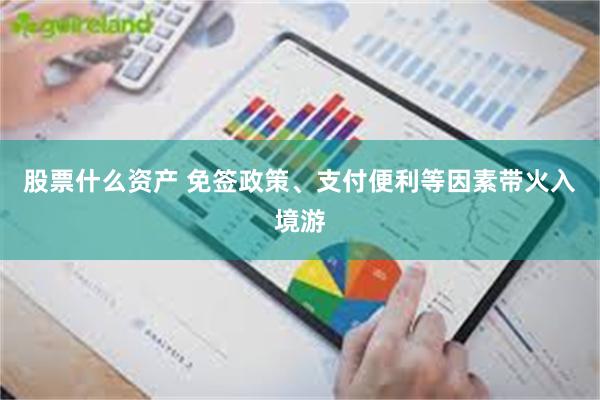 股票什么资产 免签政策、支付便利等因素带火入境游
